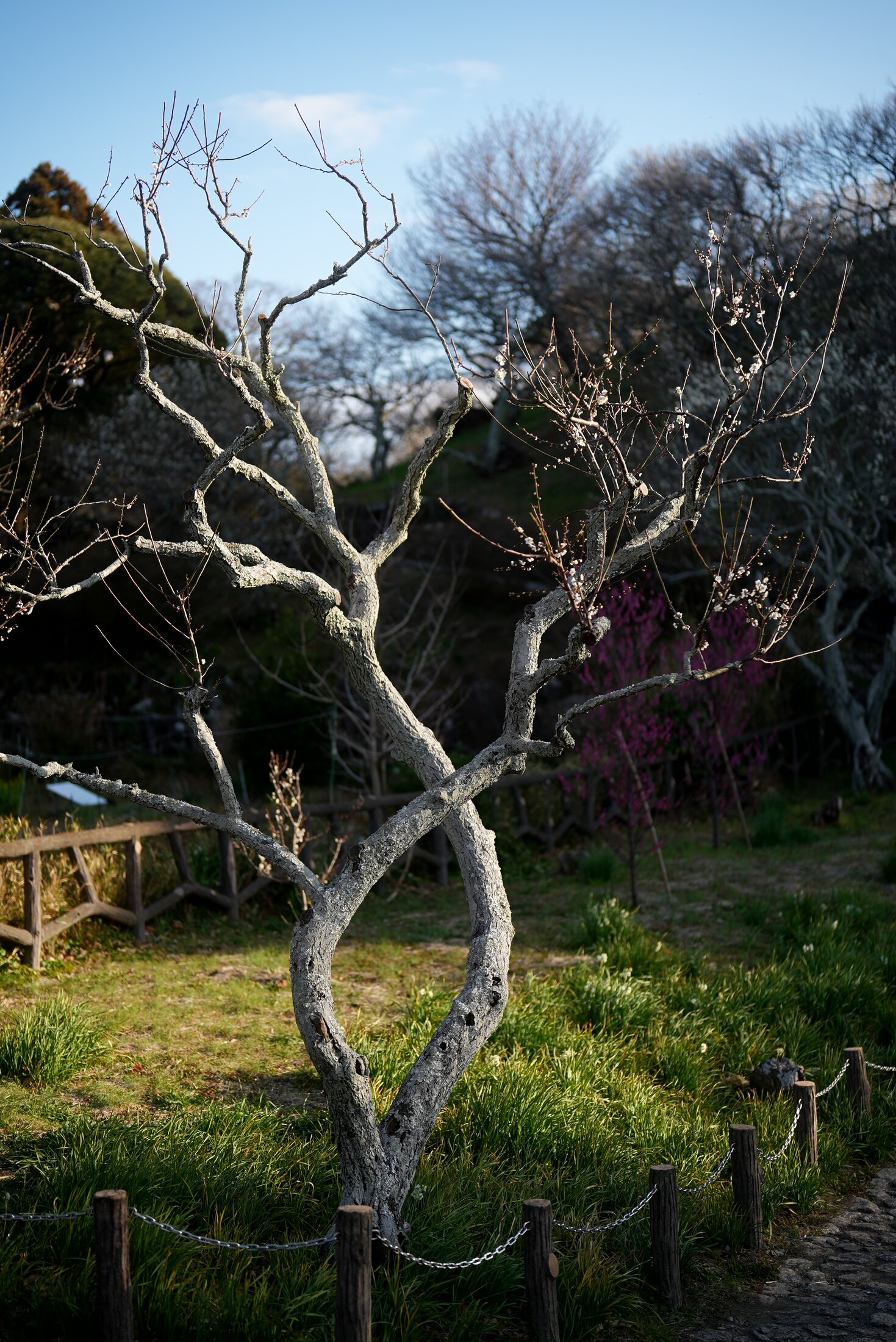 DSC05610